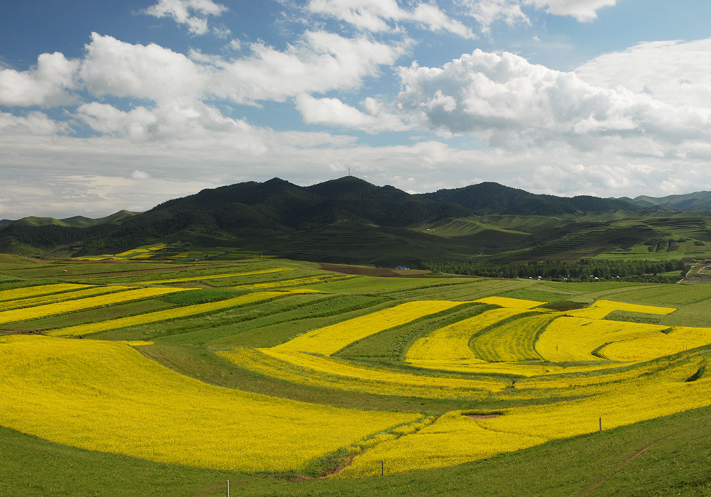 甘南州征地補(bǔ)償標(biāo)準(zhǔn)測算成果調(diào)整及平衡項(xiàng)目